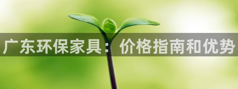 杏耀平台招商的流程