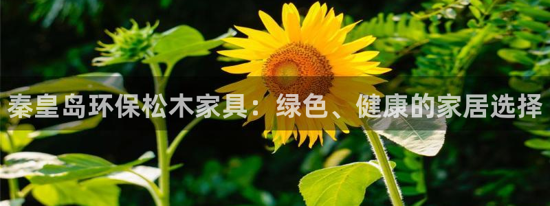 杏耀平台在哪里