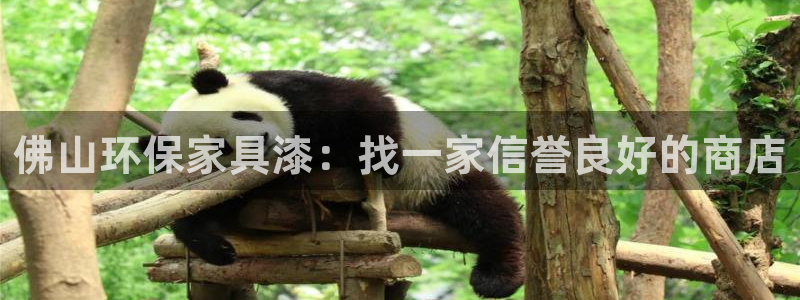 杏耀代理登录中心怎么进