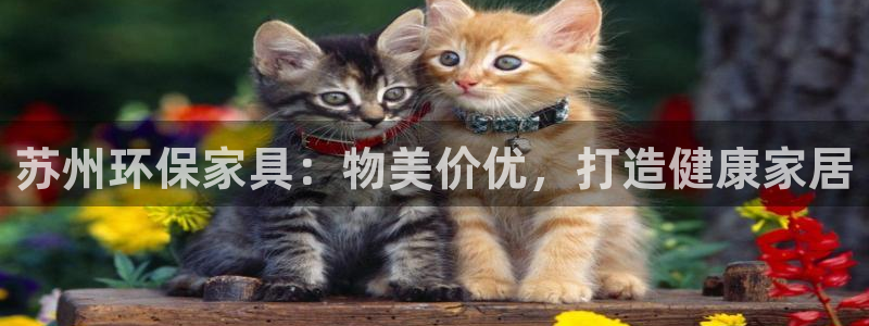 杏耀平台登录入口