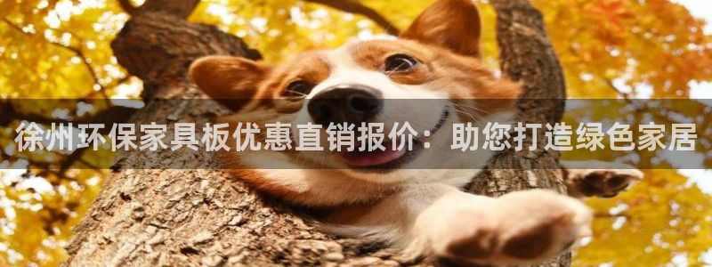 杏耀平台的专用通道