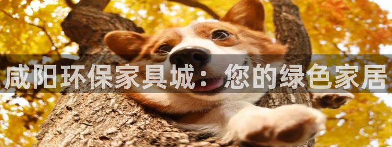 杏耀平台客户端