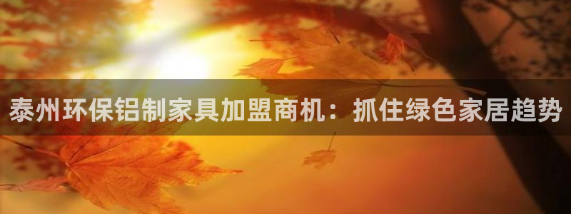 杏耀平台指定：泰州环保铝制家具加盟商机：抓住绿色家居趋势