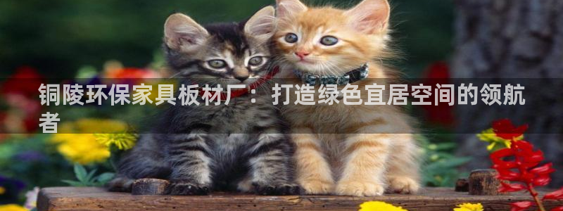 杏耀客户端登陆