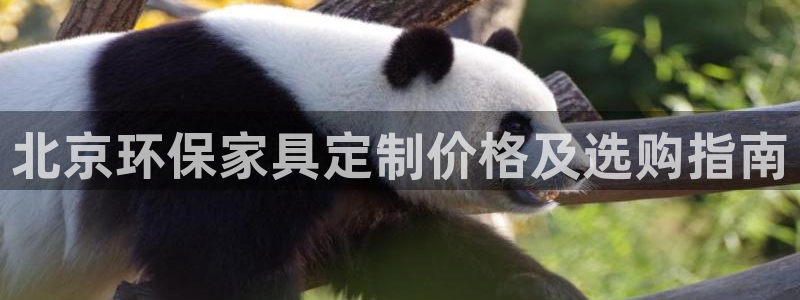杏耀线路测速登录中心：北京环保家具定制价格及选购指南