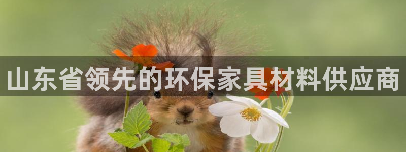 杏耀开户app下载