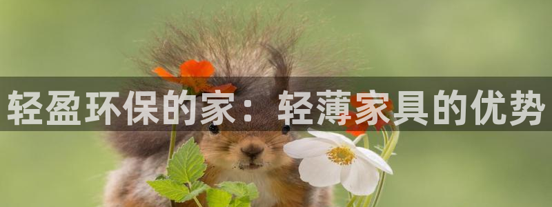 杏耀登录网页：轻盈环保的家：轻薄家具的优势