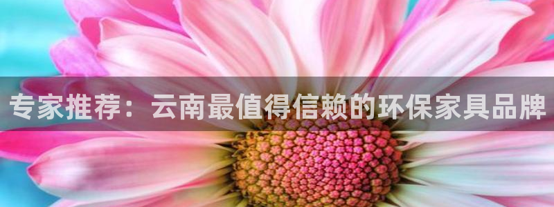 杏耀平台登陆测速