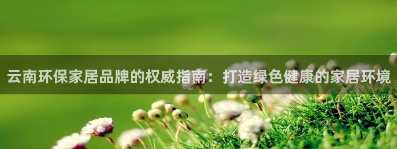 杏耀平台分红：云南环保家居品牌的权威指南：打造绿色健康的家居