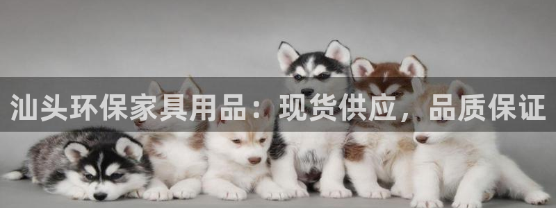 杏耀平台得专用通道：汕头环保家具用品：现货供应，品质保证