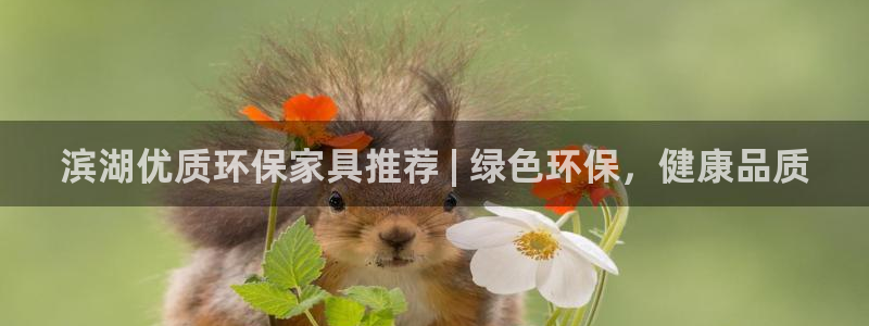 杏耀平台到底能玩吗：滨湖优质环保家具推荐 | 绿色环保，健康