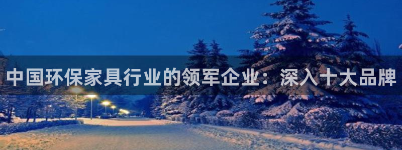 杏耀总代理：中国环保家具行业的领军企业：深入十大品牌