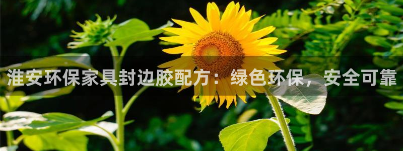 杏耀登陆线路：淮安环保家具封边胶配方：绿色环保，安全可靠