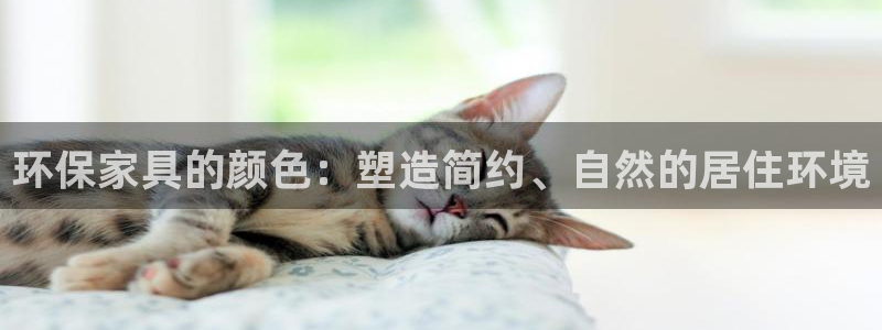 杏耀总代