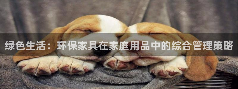 杏耀平台娱乐登陆