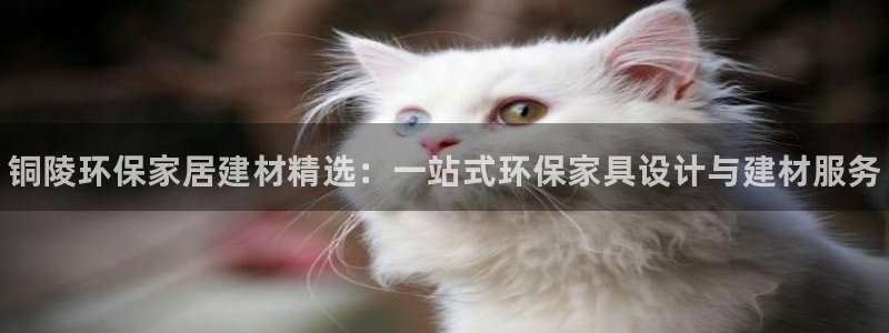 杏耀平台登录网址：铜陵环保家居建材精选：一站式环保家具设计与