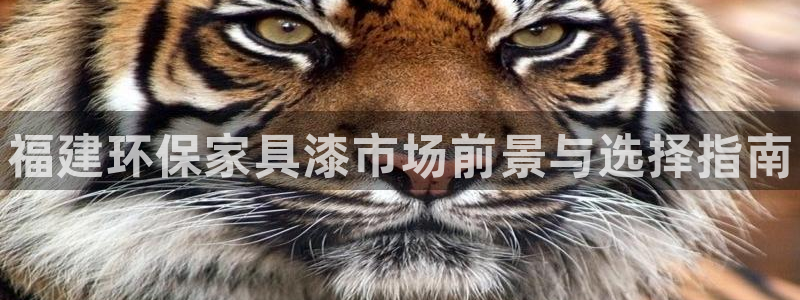 杏耀注册登陆：福建环保家具漆市场前景与选择指南