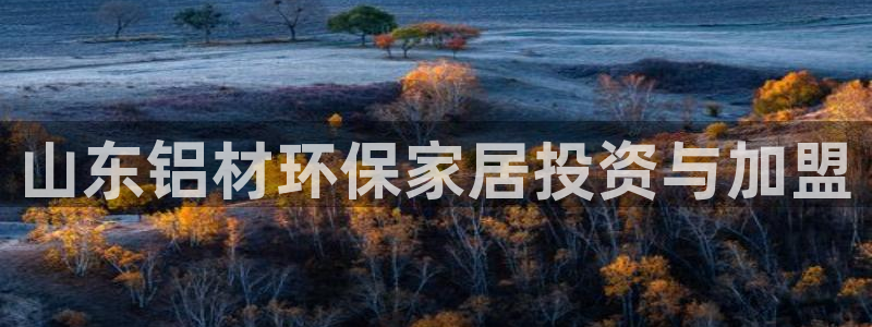 杏耀注册登录中心：山东铝材环保家居投资与加盟