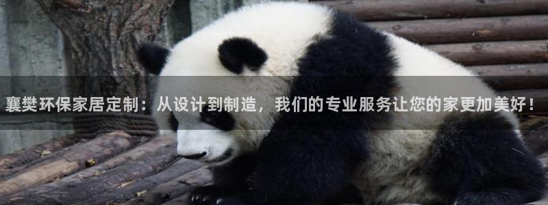 杏耀管网登录：襄樊环保家居定制：从设计到制造，我们的专业服务