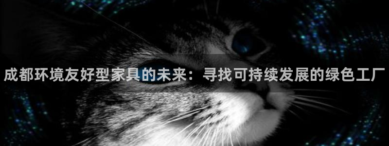 杏耀注册登录中心：成都环境友好型家具的未来：寻找可持续发展的