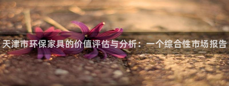 杏耀平台网站是什么：天津市环保家具的价值评估与分析：一个综合