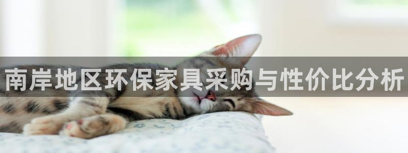 杏耀代理日工资多少：南岸地区环保家具采购与性价比分析