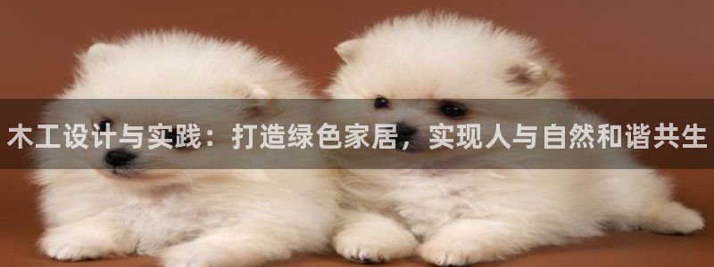 杏耀平台测速登陆：木工设计与实践：打造绿色家居，实现人与自然
